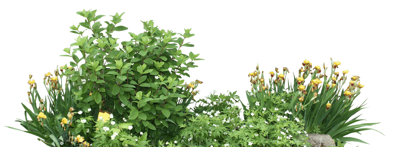 bushel-of-greenery-and-flowers
